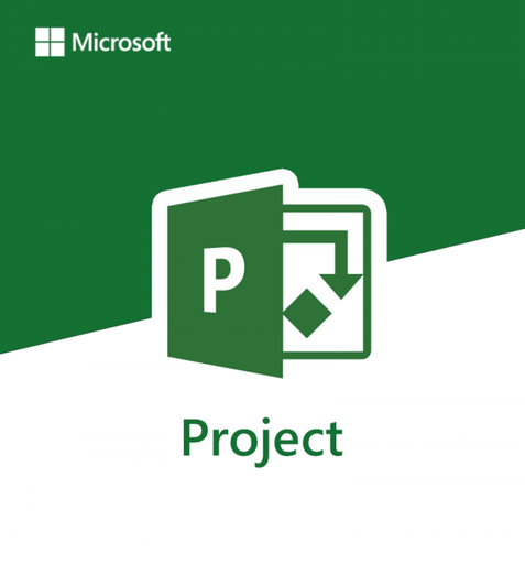 [Msprojet] MS Project